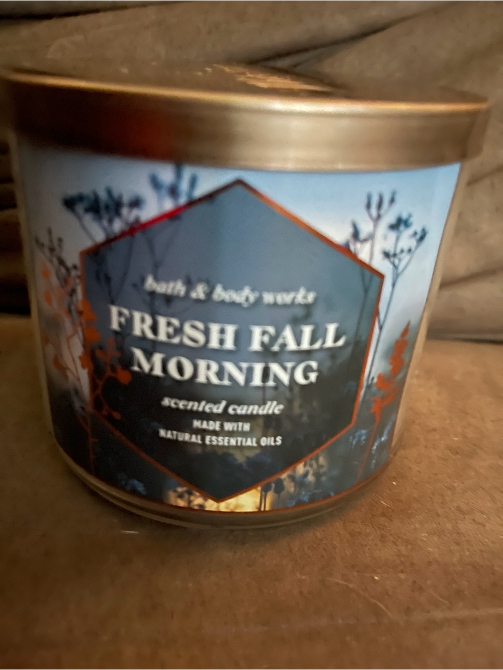 Bath & Body Works Fresh Fall Morning Candle - Blue and Gold